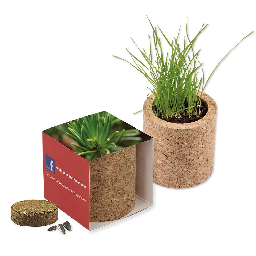 Pflanz-Kork rund mit Samen - Fichte