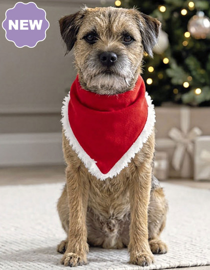 Portman & Pooch - Dog Christmas Bandana
