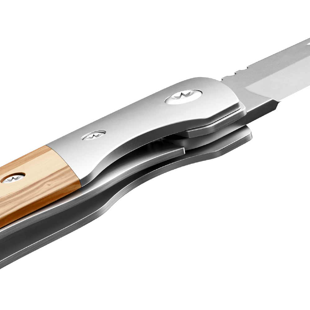 RICHARTZ® LEO picknick olive