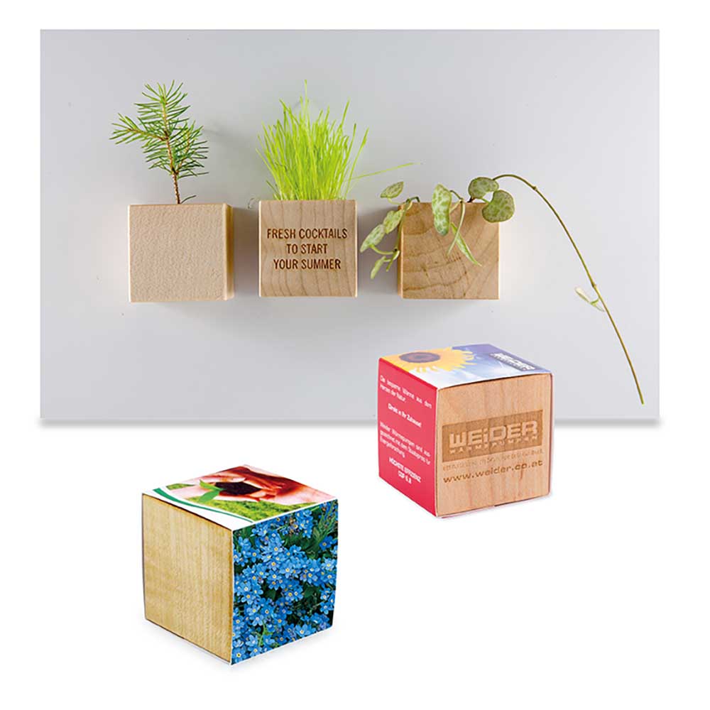 Pflanz-Holz Magnet mit Samen - individuell