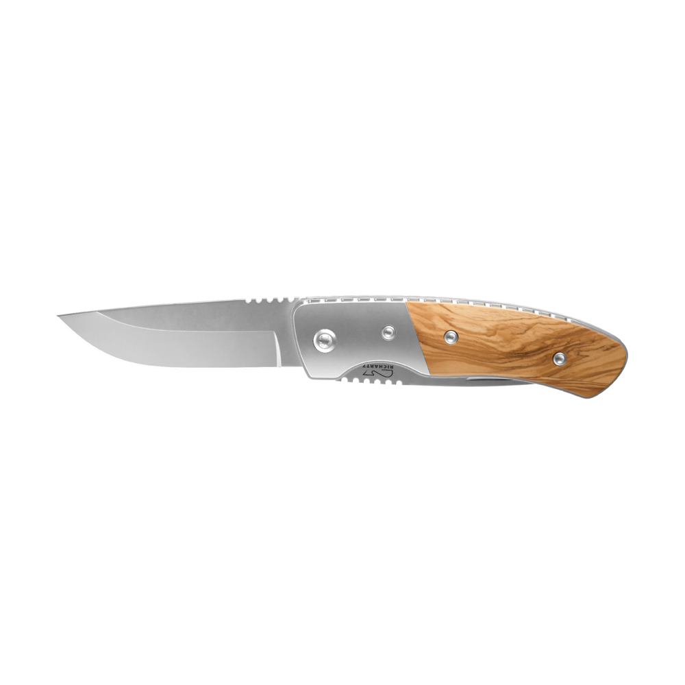 RICHARTZ® LEO picknick olive