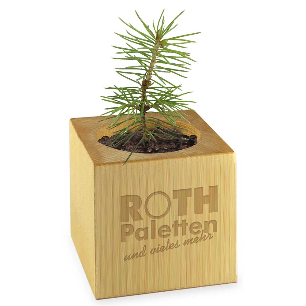 Pflanz-Holz - Standardmotiv - Frohe Weihnachten - holz