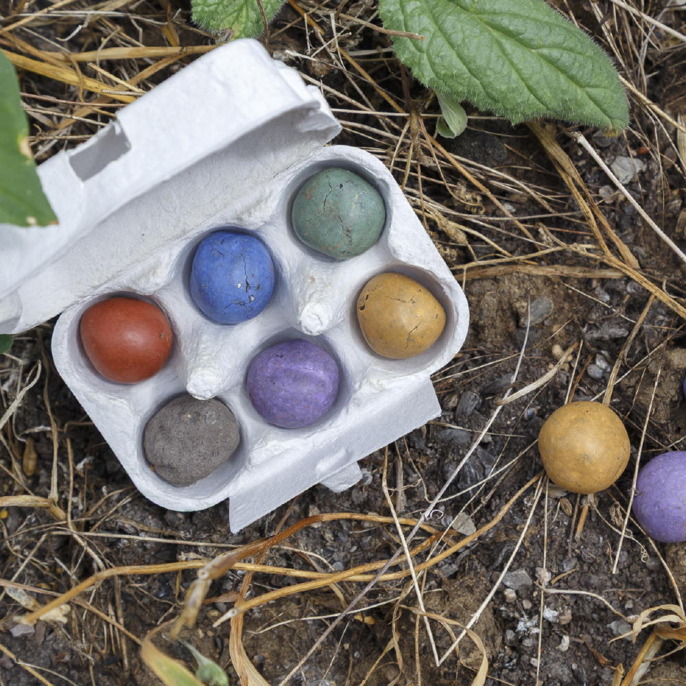 6er Pack Samenkugel im Mini-Eierkarton