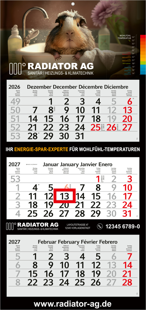 3-Monatskalender Mehrblock Profil 3 EXPRESS