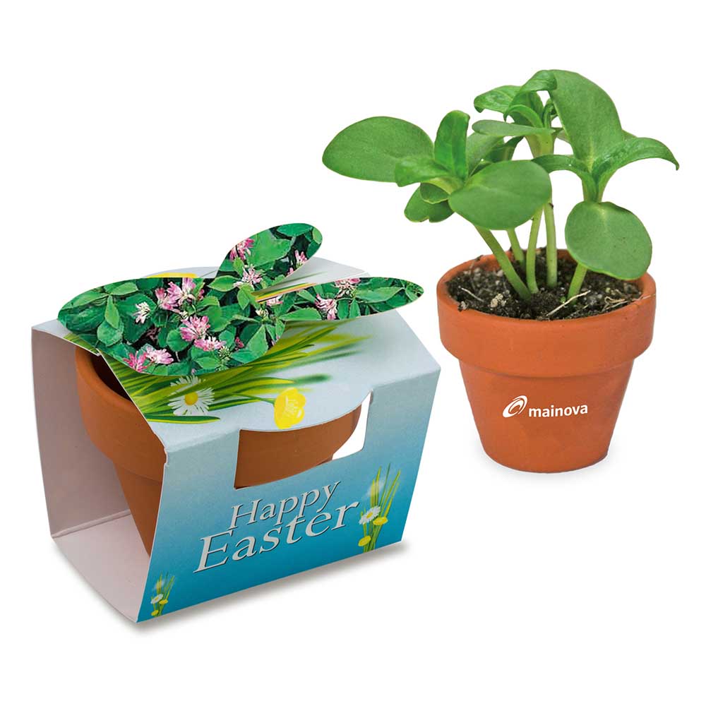 Tontöpfchen-Hase mit Samen - Persischer Klee inkl. Tampondruck